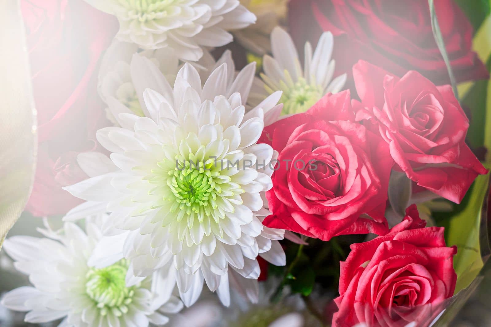 Beautiful bouquet of red and white flowers on light background by Annavish