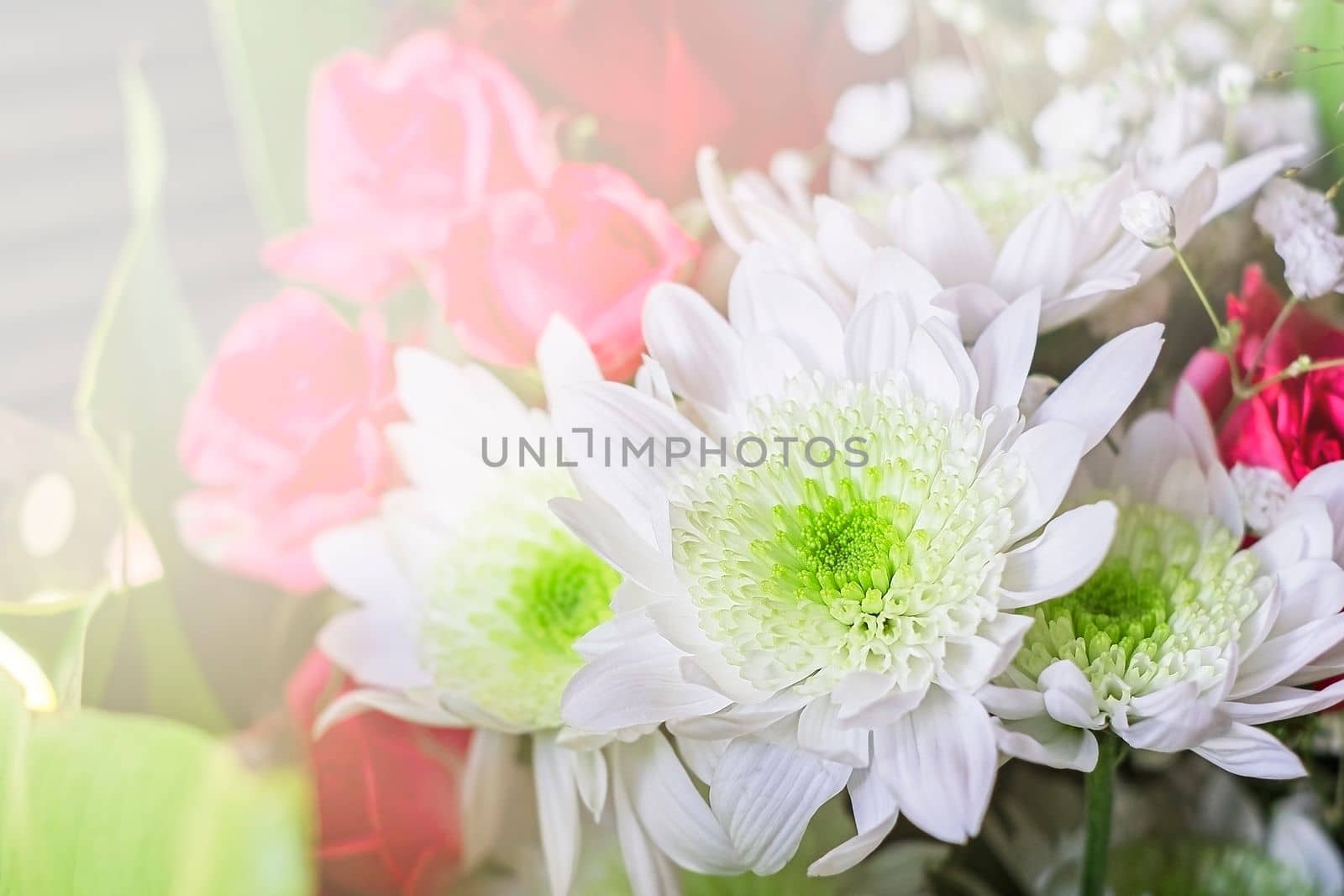 Beautiful bouquet of red and white flowers on light background by Annavish