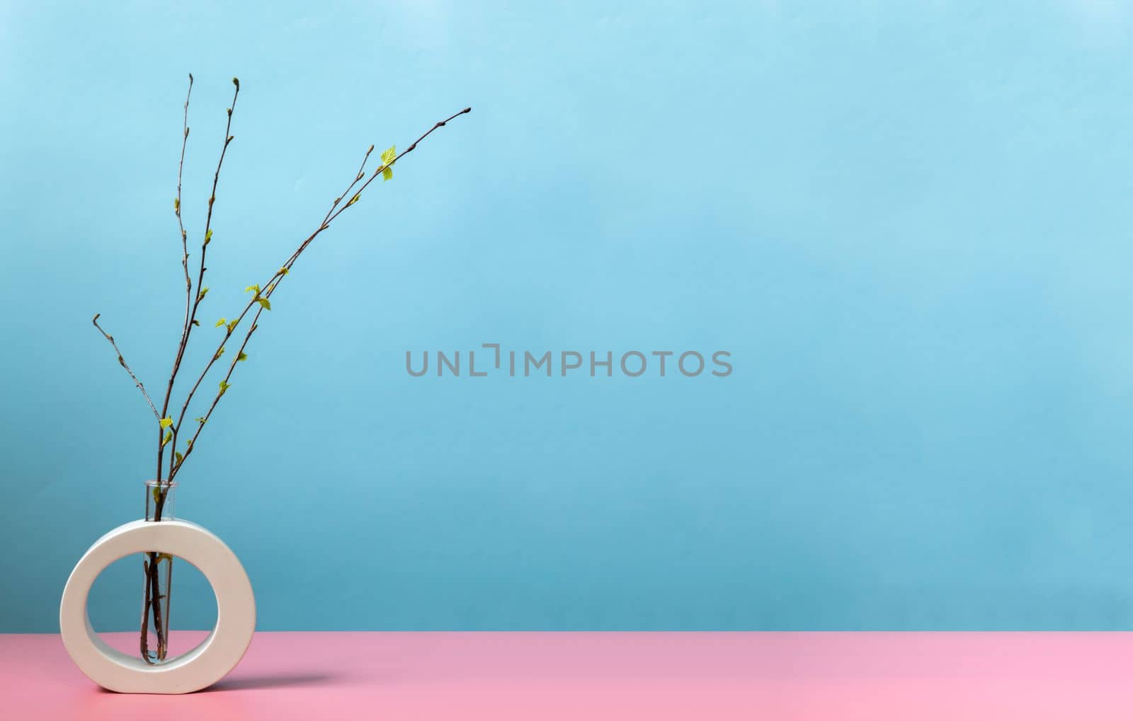 Gypsum vase with sprout fresh leaves. on pastel pink and blue background. Springtime. Spring concept