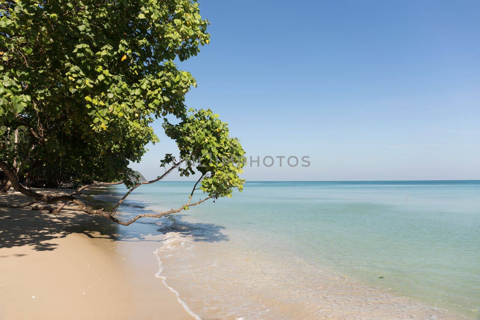 Tropical Sand Beach and Blue Sea in Sunny Day.