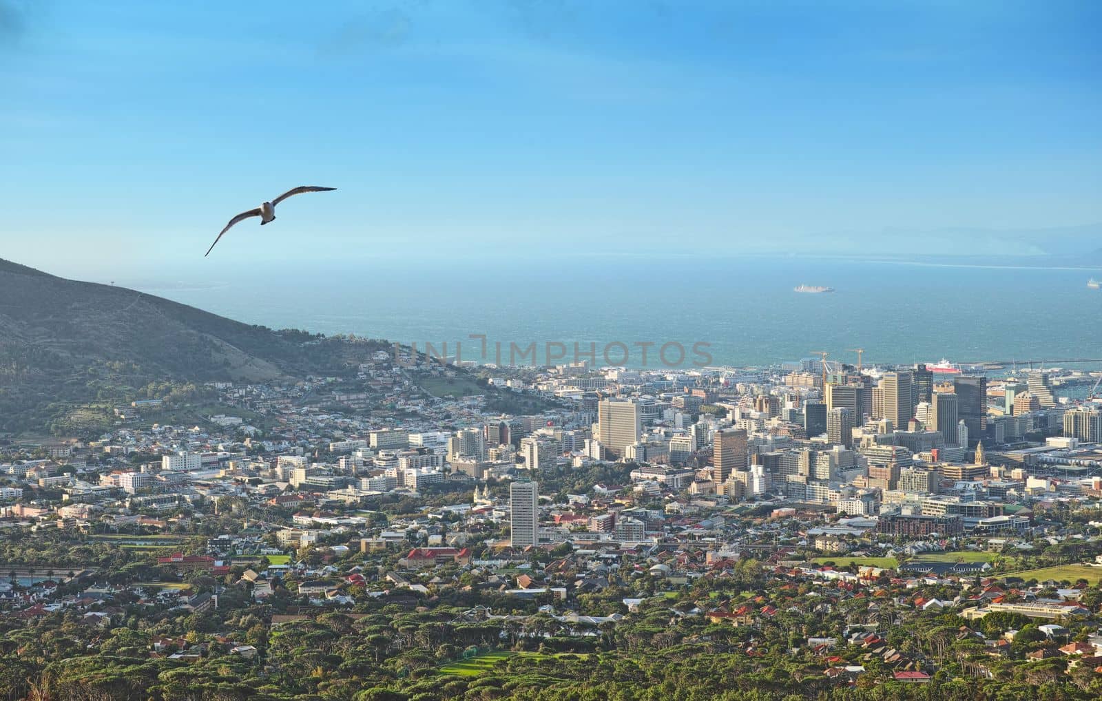 Cape Town after sunset. Cape Town after sunset - view from Signal Hill, South Africa. by YuriArcurs