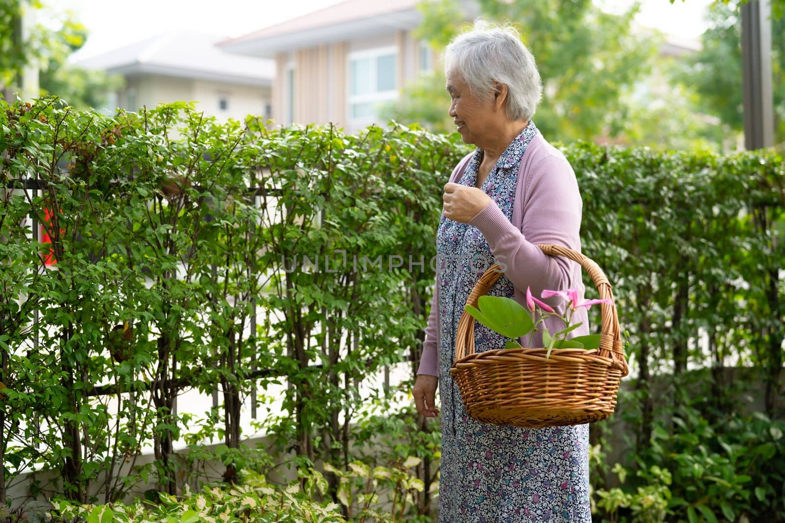 Asian senior or elderly old lady woman smile bright face with strong health while walking at park in holiday by pamai