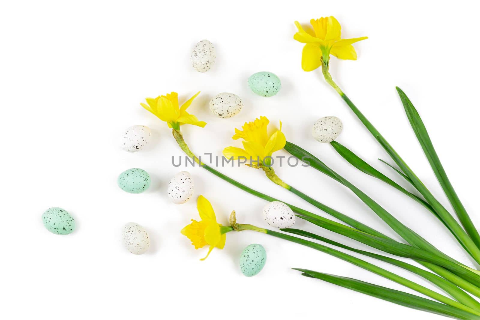 Flowers seen from above with green and white eggs wit narcissus