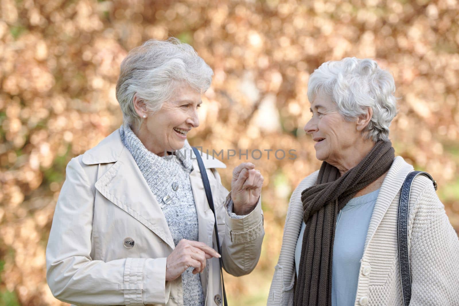 Friend to Friend, Heart to Heart. Two senior women having a friendly conversation outside with autumn leaves in the background