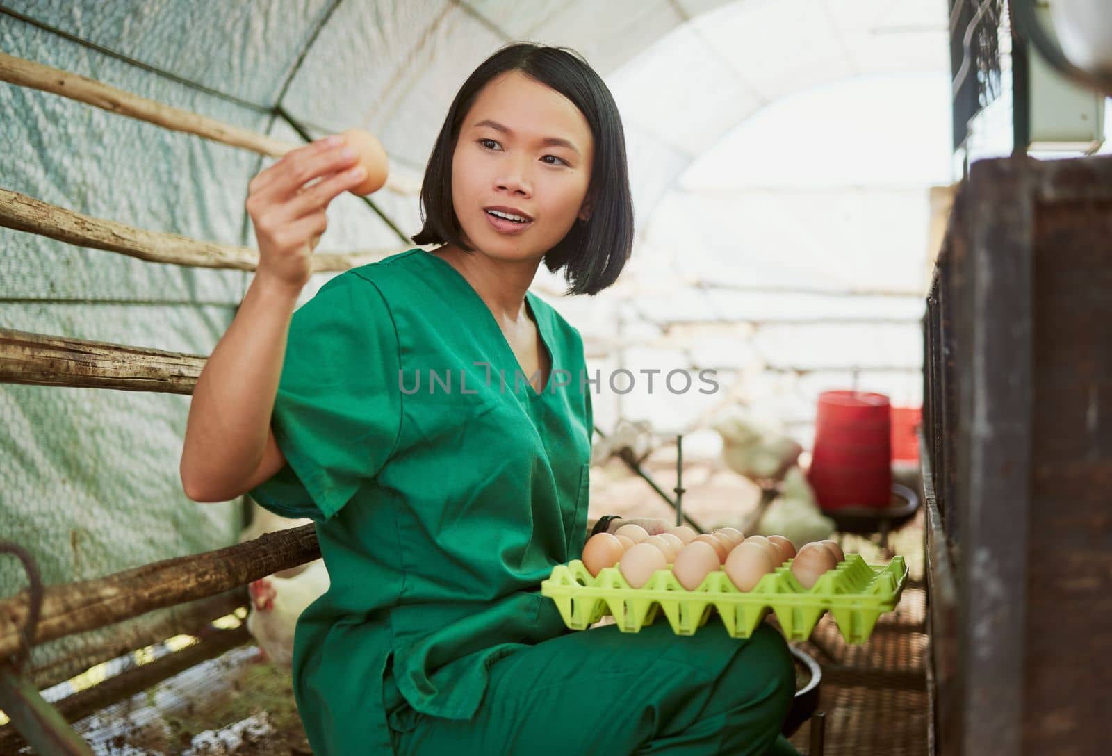 Eggs, sustainability and a chicken farm vet woman doing inspection for quality control, health and wellness of poultry animal. Asian farmer holding protein food for sustainable farming of animals.
