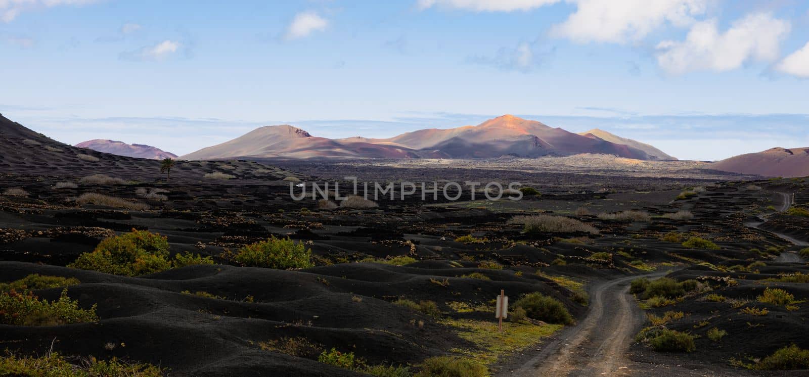 Black volcanic landscape of La Geria wine growing region with view of Timanfaya National Park in Lanzarote. Popular touristic attraction in Lanzarote island, Canary Islands, Spain. by kasto