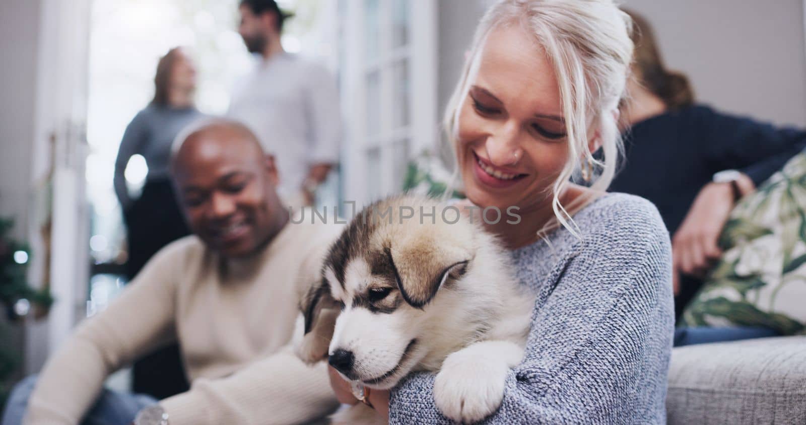 Friends, family and woman with puppy in living room at Christmas party in family home. Friendship, diversity and dog love, happy woman with smile and new pet at holiday celebration in apartment