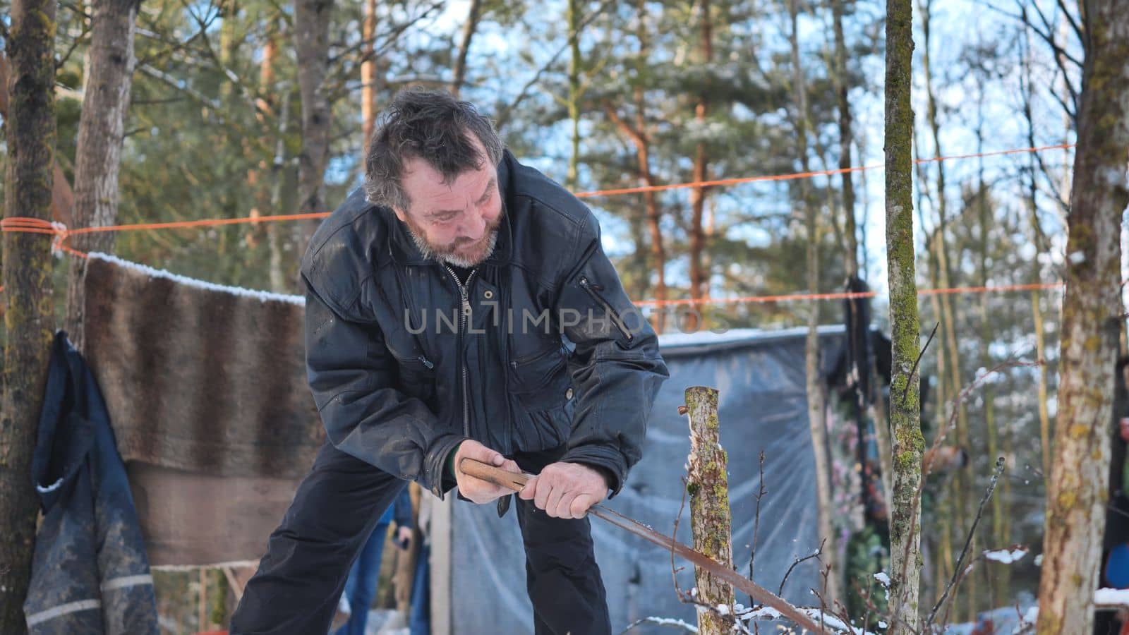 A homeless man is sawing a tree in the woods in front of his cabin