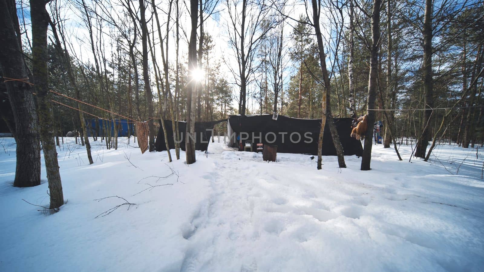 A hut of homeless people in the woods in winter