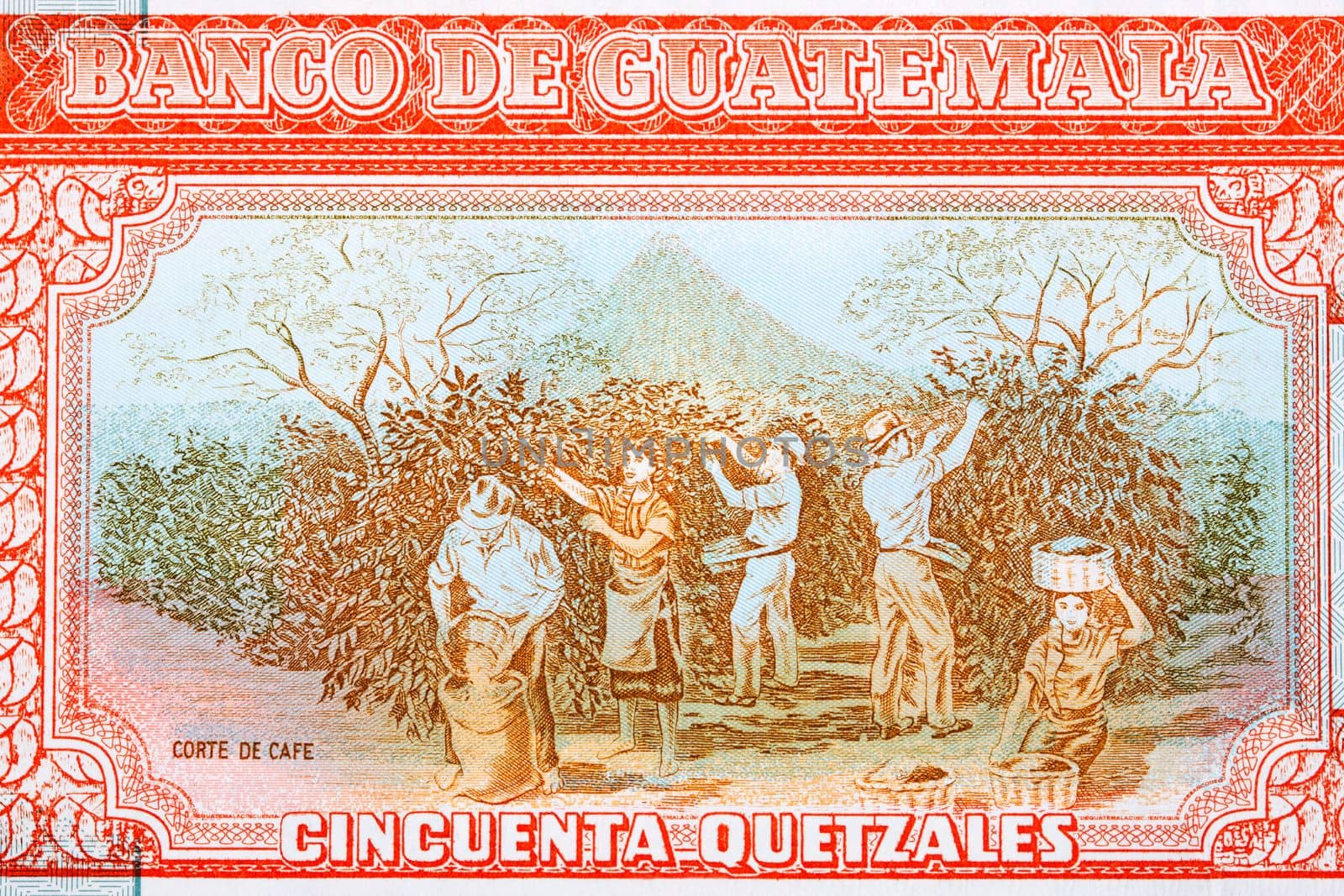 Crop workers from Guatemalan money - Quetzal