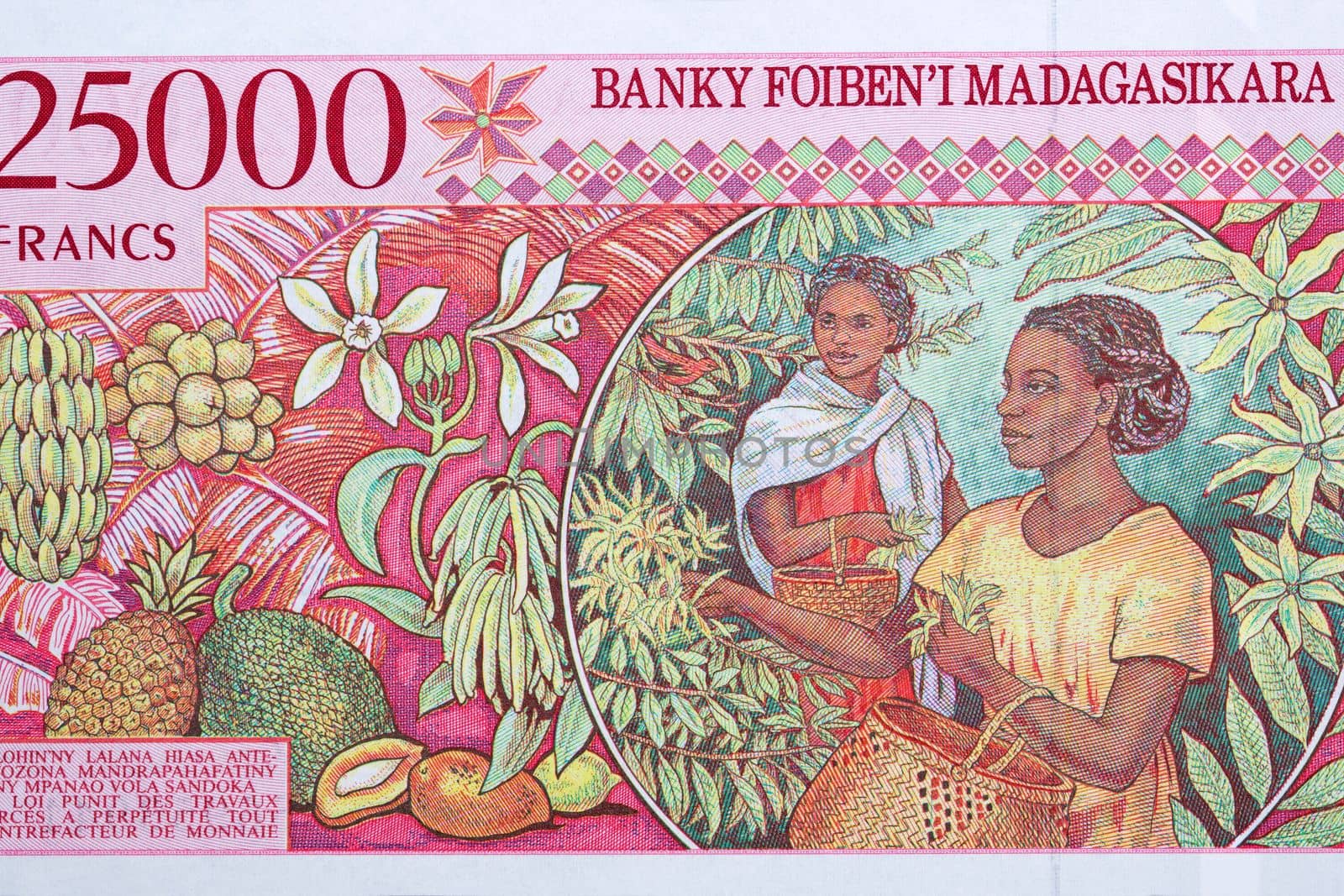 Woman harvesting from Malagasy money by johan10