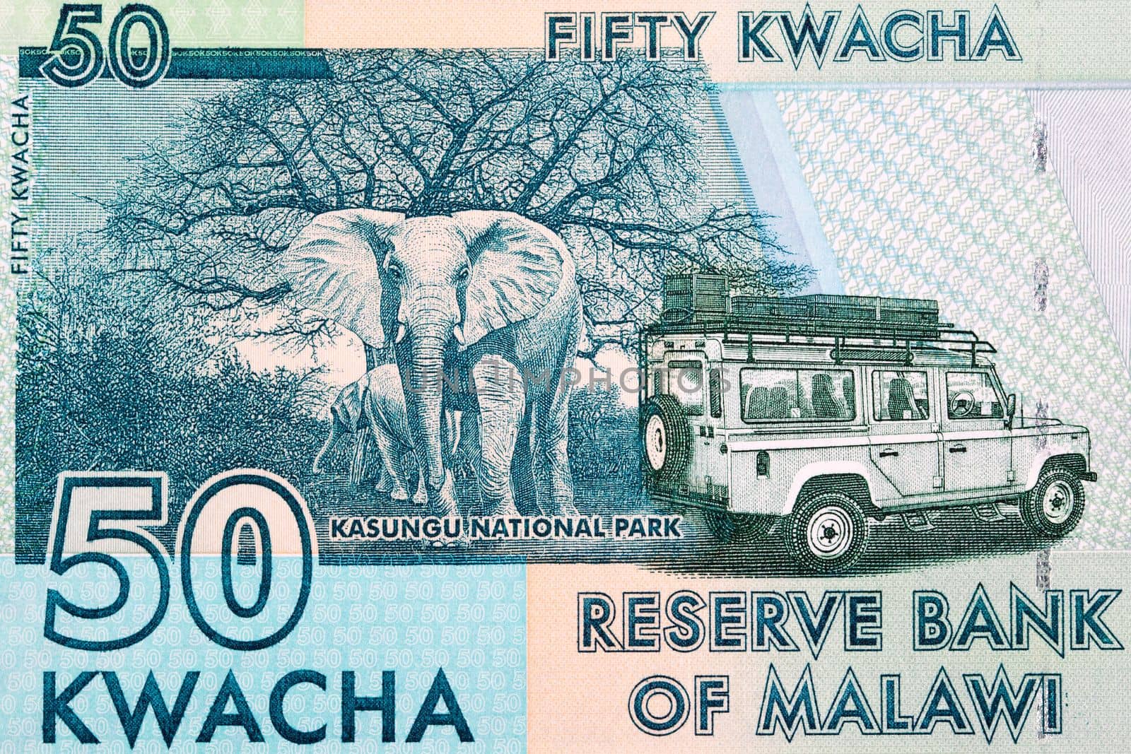 Kasungu National Park from Malawian kwacha by johan10