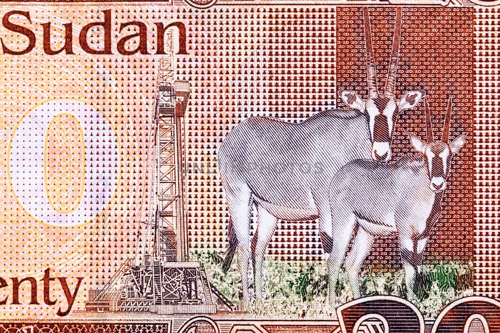 Oryx antelopes and oil derrick from South Sudanese pound by johan10