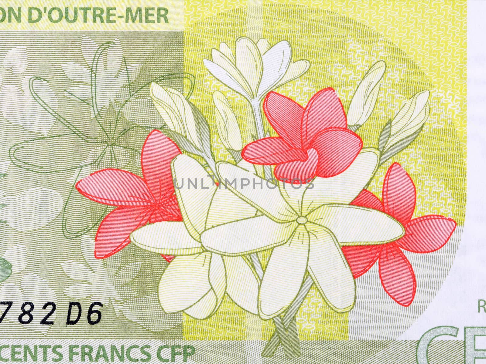 Flowers from French Pacific Territories money - Francs