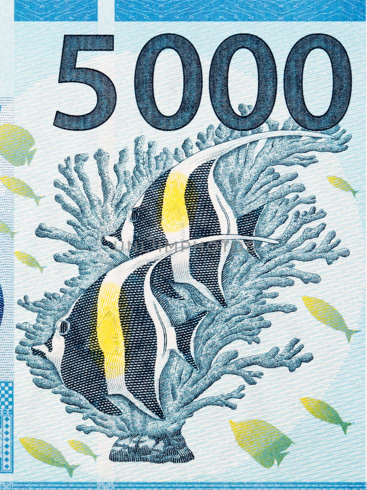 Coralfish from French Pacific Territories money by johan10