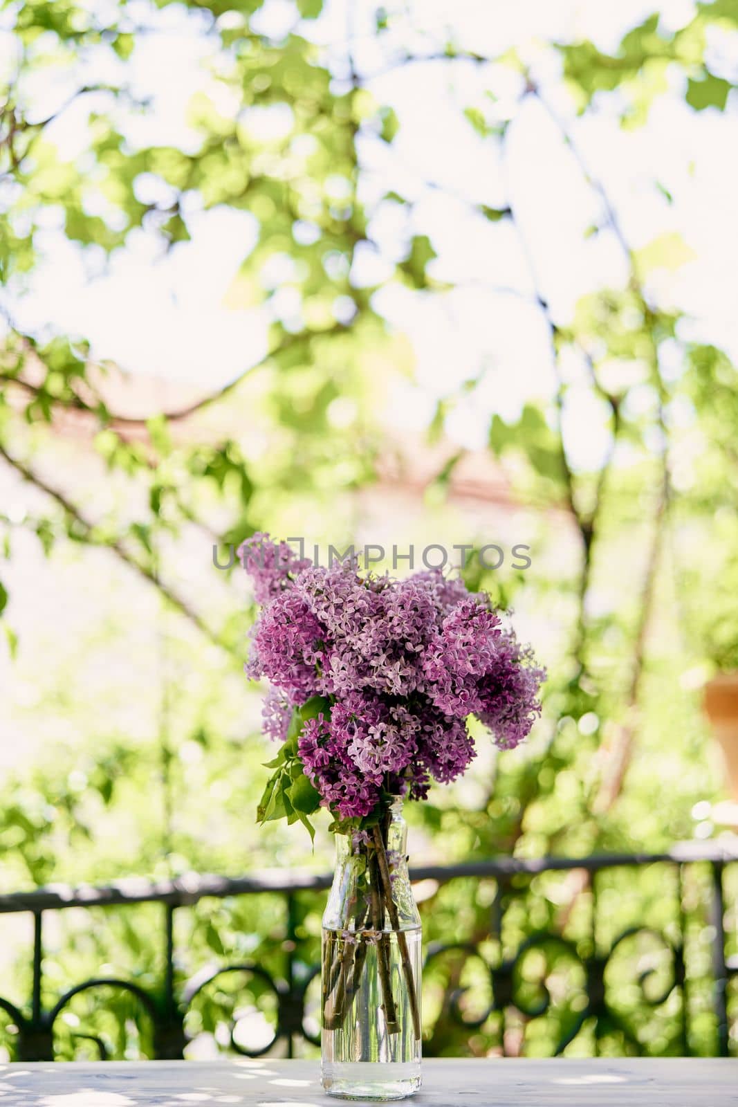 Bouquet of lilacs stands in a bottle on the table on the balcony. High quality photo