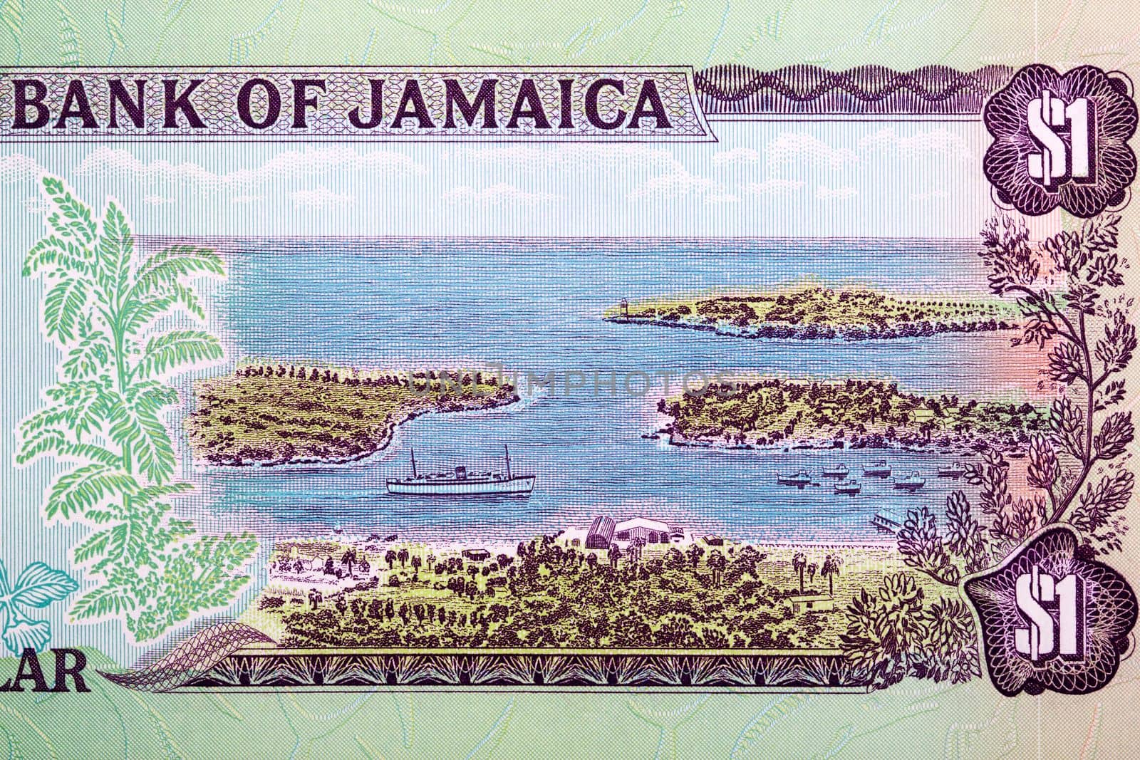 Tropical harbor from Jamaican money by johan10