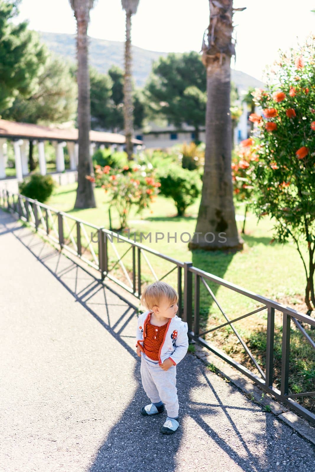 Kid stands on the path in the garden near the metal fence, turning his head. High quality photo