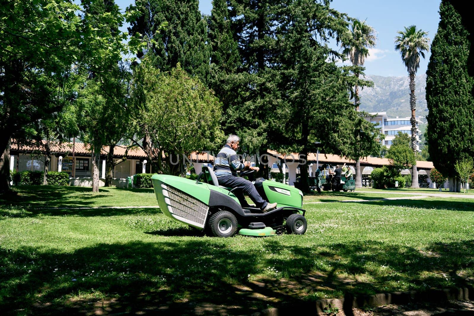 Man rides a green large lawn mower in the park among the trees. High quality photo