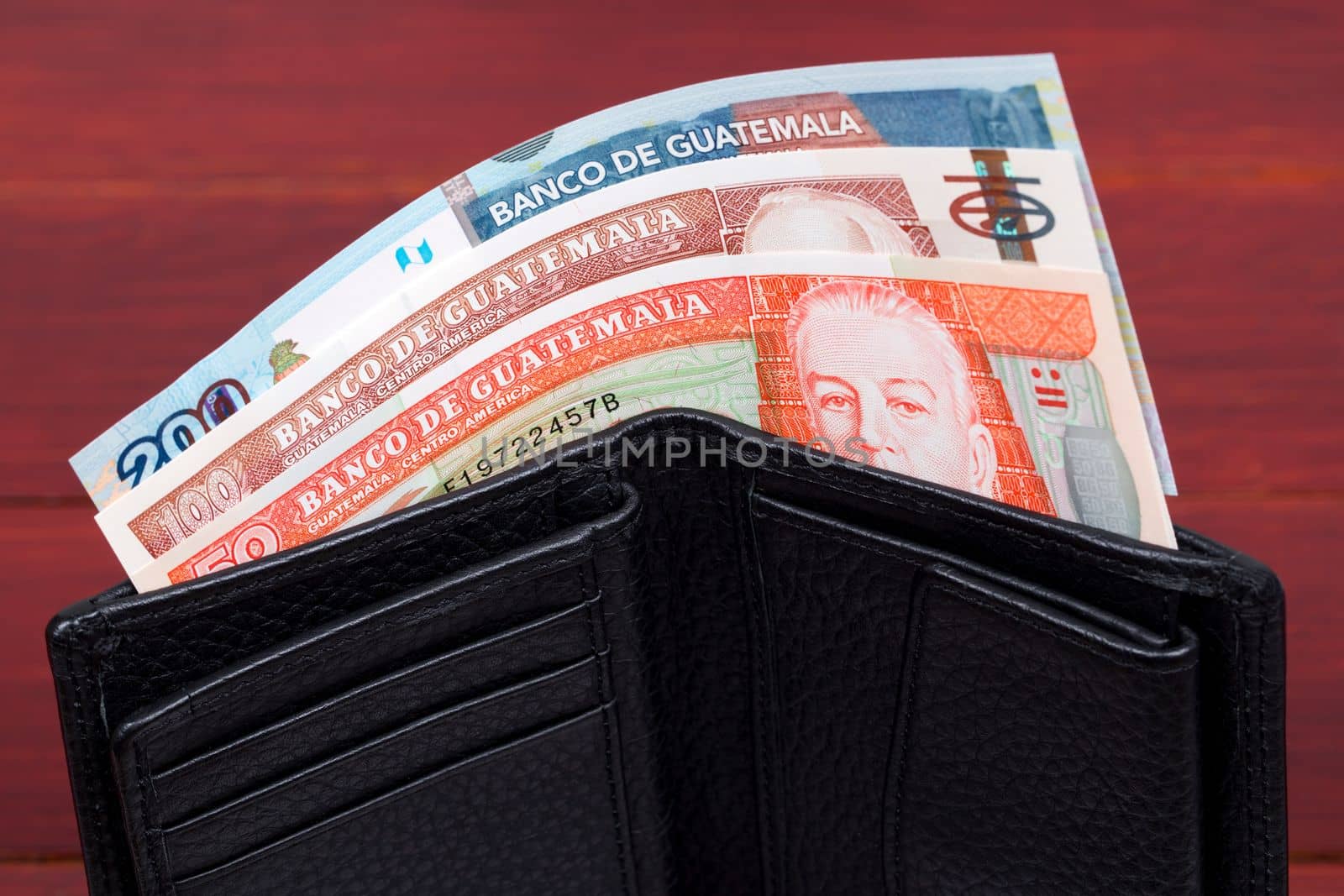 Guatemalan money - quetzal in the black wallet by johan10