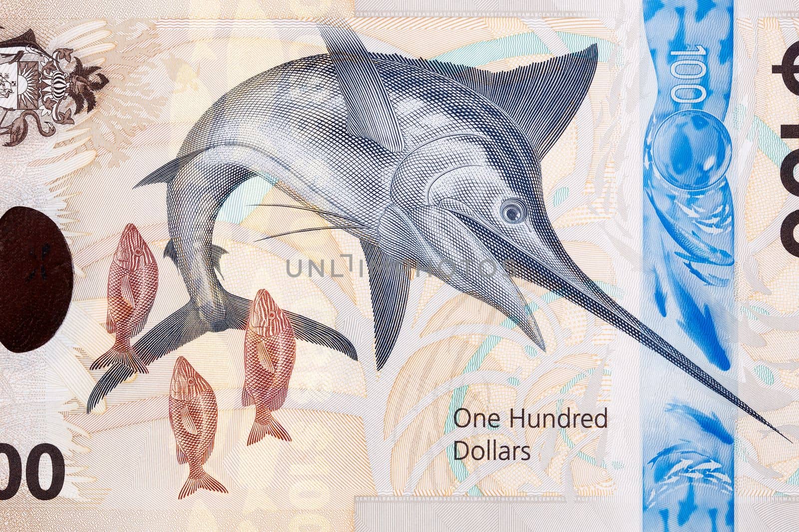 Blue marlin from Bahamian money by johan10