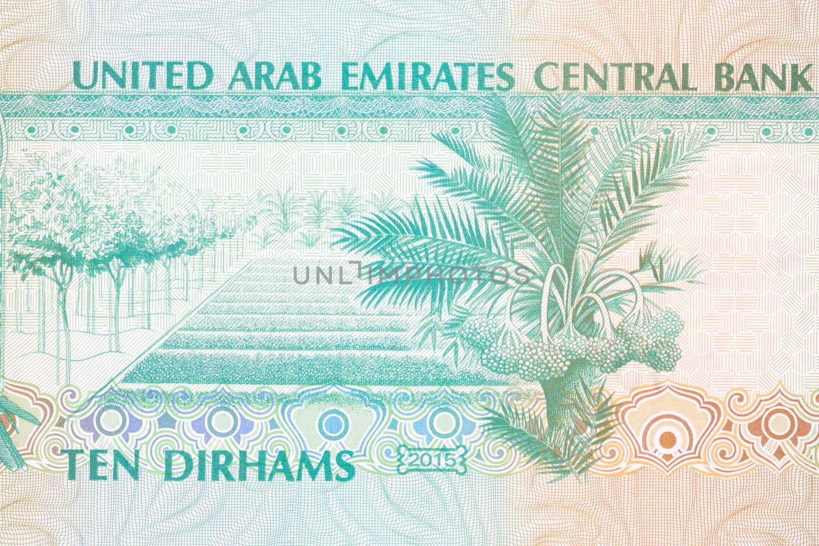 Date palm from United Arab Emirates money by johan10