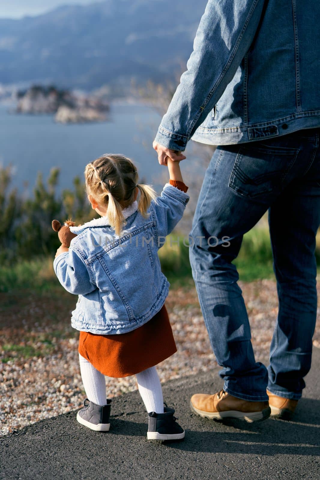 Dad holds the hand of a little girl with a soft toy, standing on the road against the background of the sea, mountains and Sveti Stefan island. Close-up. Back view. High quality photo