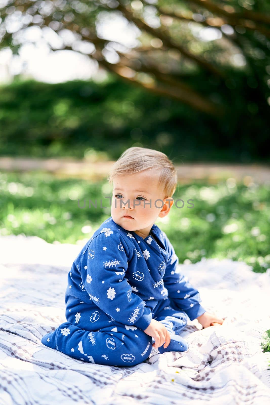 Small child in a blue overalls sits on his knees with his head turned on a checkered blanket on a green lawn. High quality photo