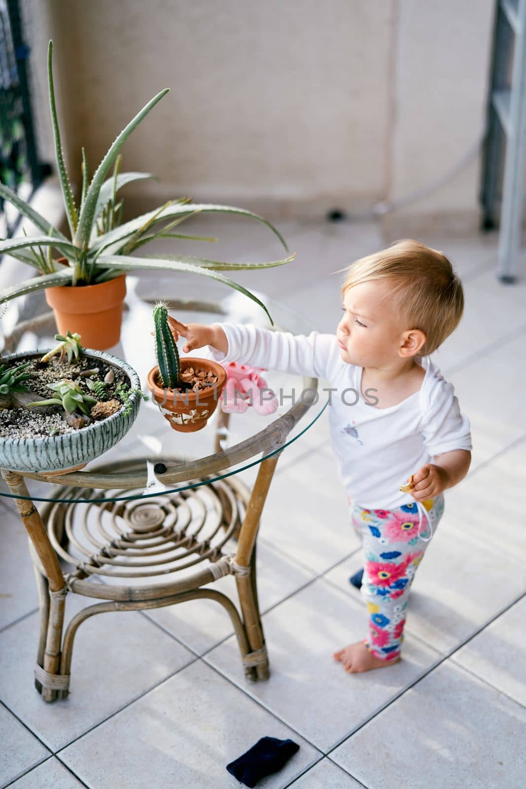 Small child stands on the balcony near a table with flowerpots and points his finger at a cactus. High quality photo