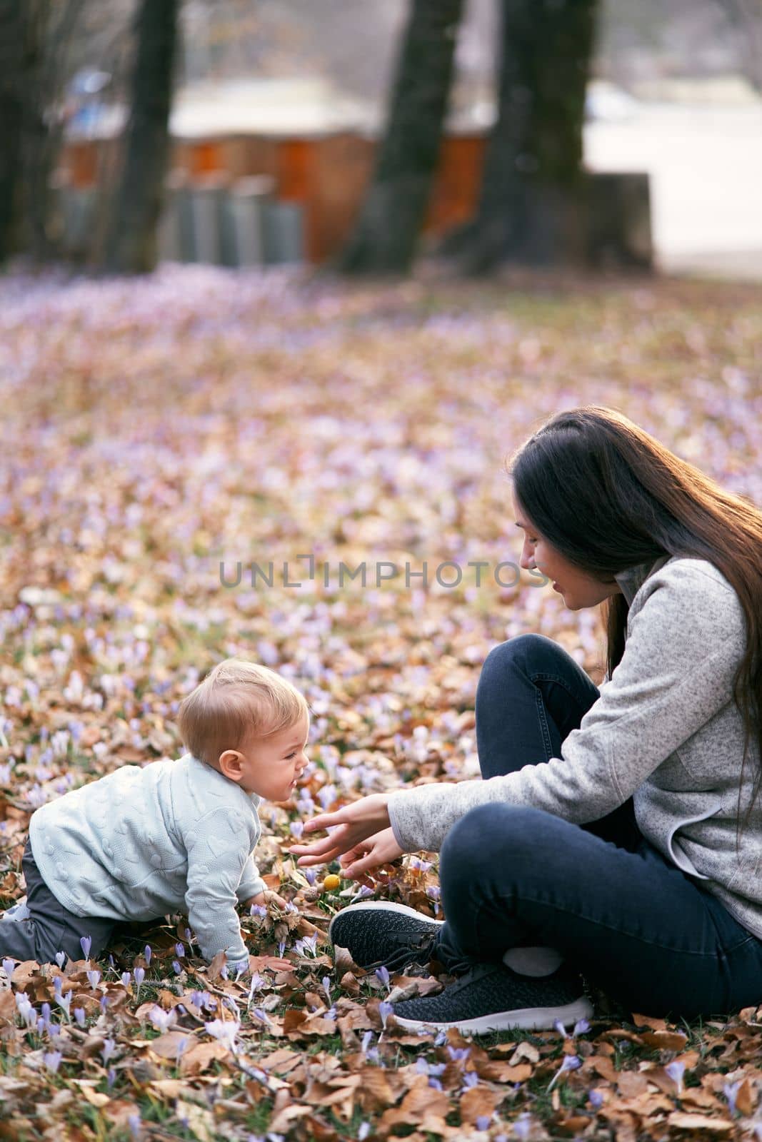 Mom sits on the foliage in the park stretching out her hands to the baby crawling towards her by Nadtochiy