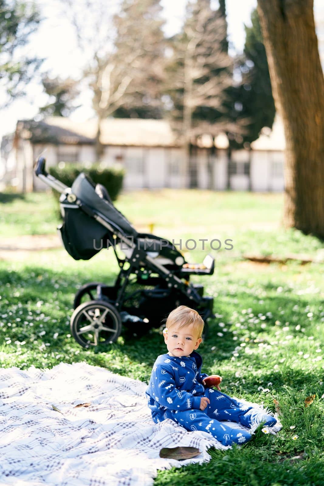 Small child in a blue overalls sits on a blanket on the lawn and holds an apple in his hand against the background of a stroller and a tree. High quality photo