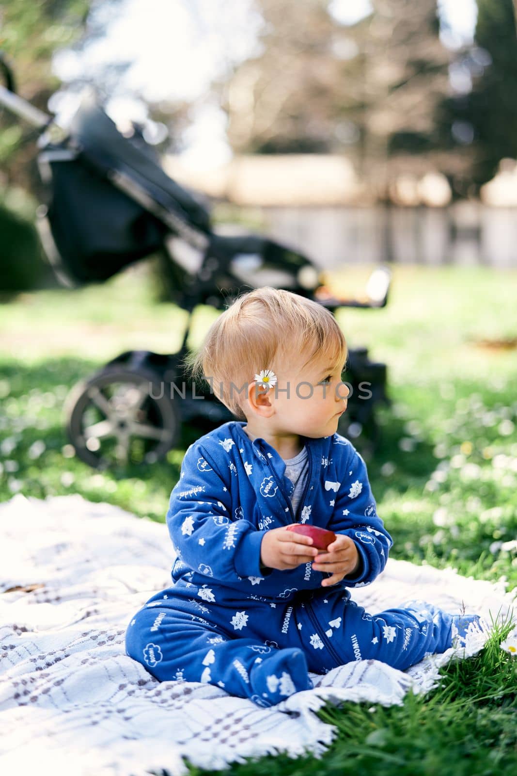 Small kid in a blue overalls with a daisy behind his ear sits on a blanket on the lawn and holds an apple in his hand against the background of a stroller and looks to the side by Nadtochiy