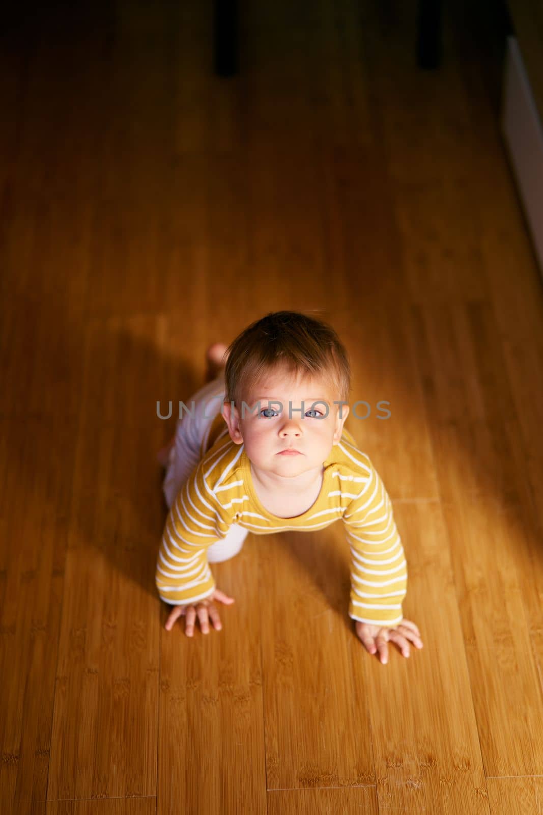 Serious toddler crawls on the wooden floor in the room. View from above by Nadtochiy