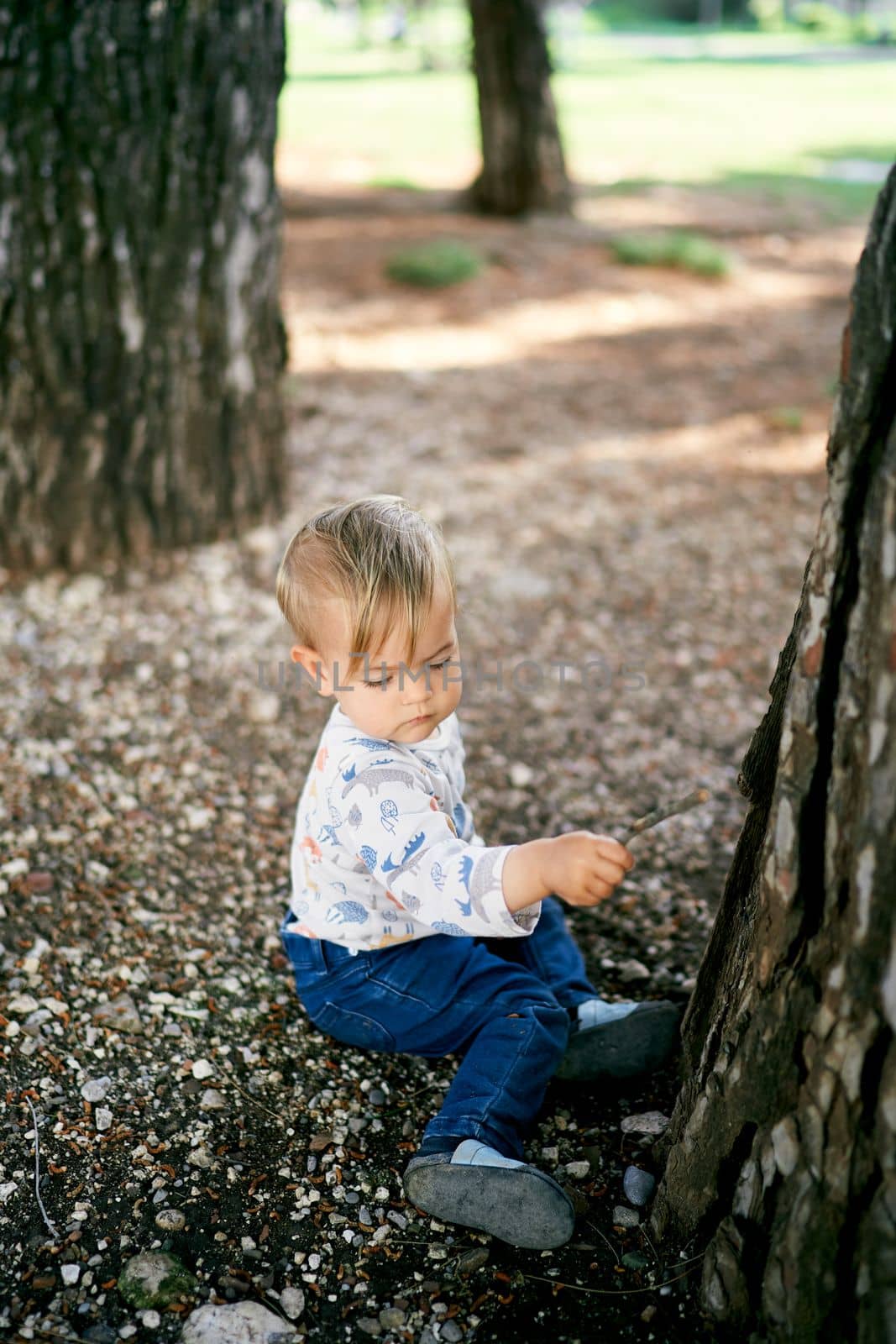 Kid sits on the ground near a large tree and holds a stick in his hand by Nadtochiy