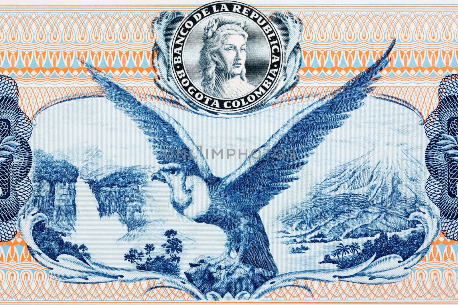 Condor with waterfall and mountains from old Colombian money by johan10