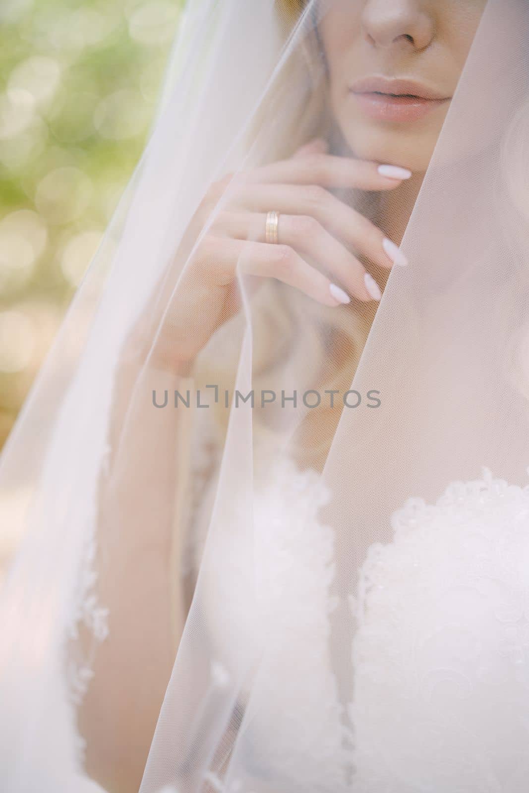 Bride in a white dress, covered with a veil. Portrait. High quality photo