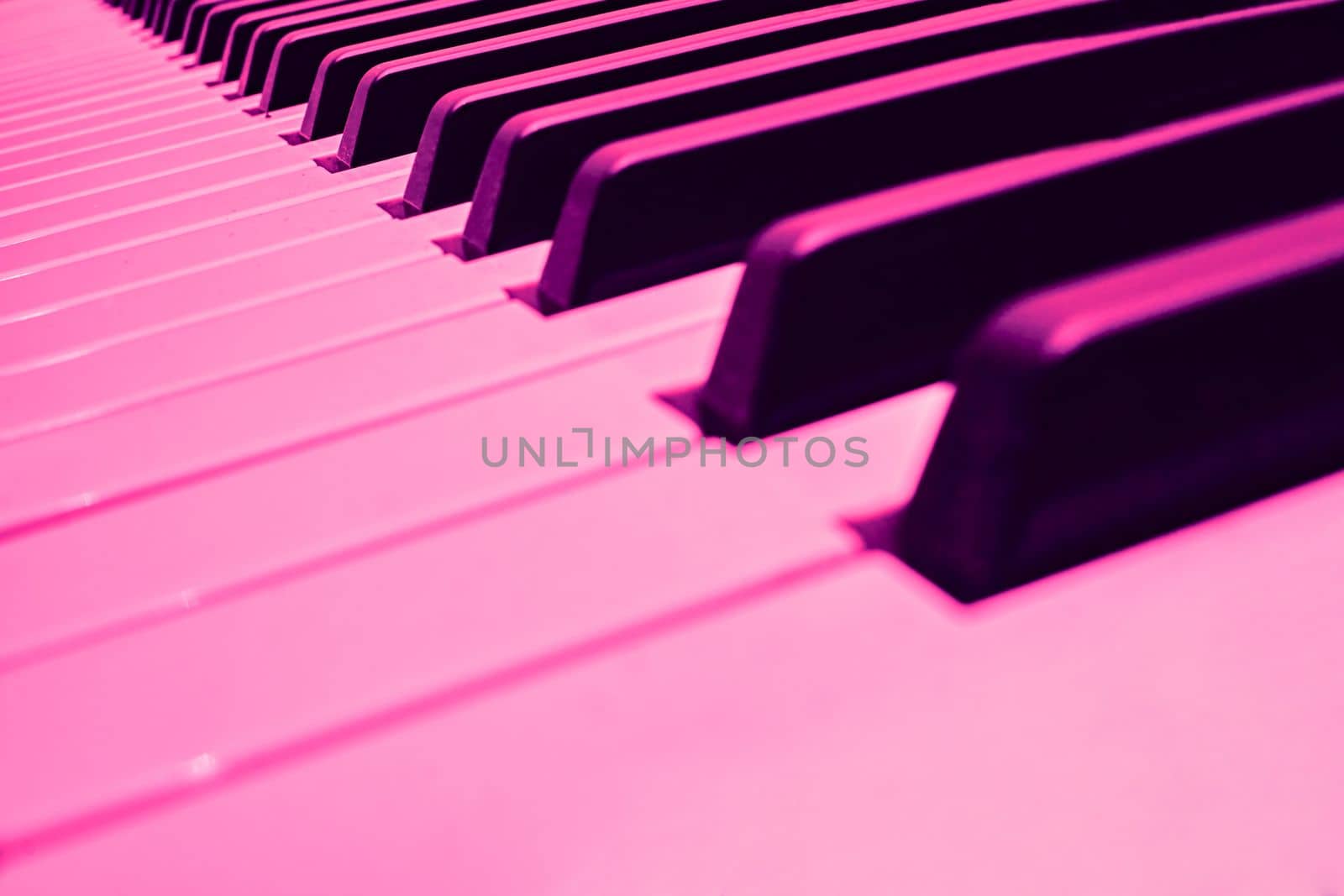 a set of keys on a piano or similar musical instrument. Pink magenta musical keys of piano synthesizer with space for text