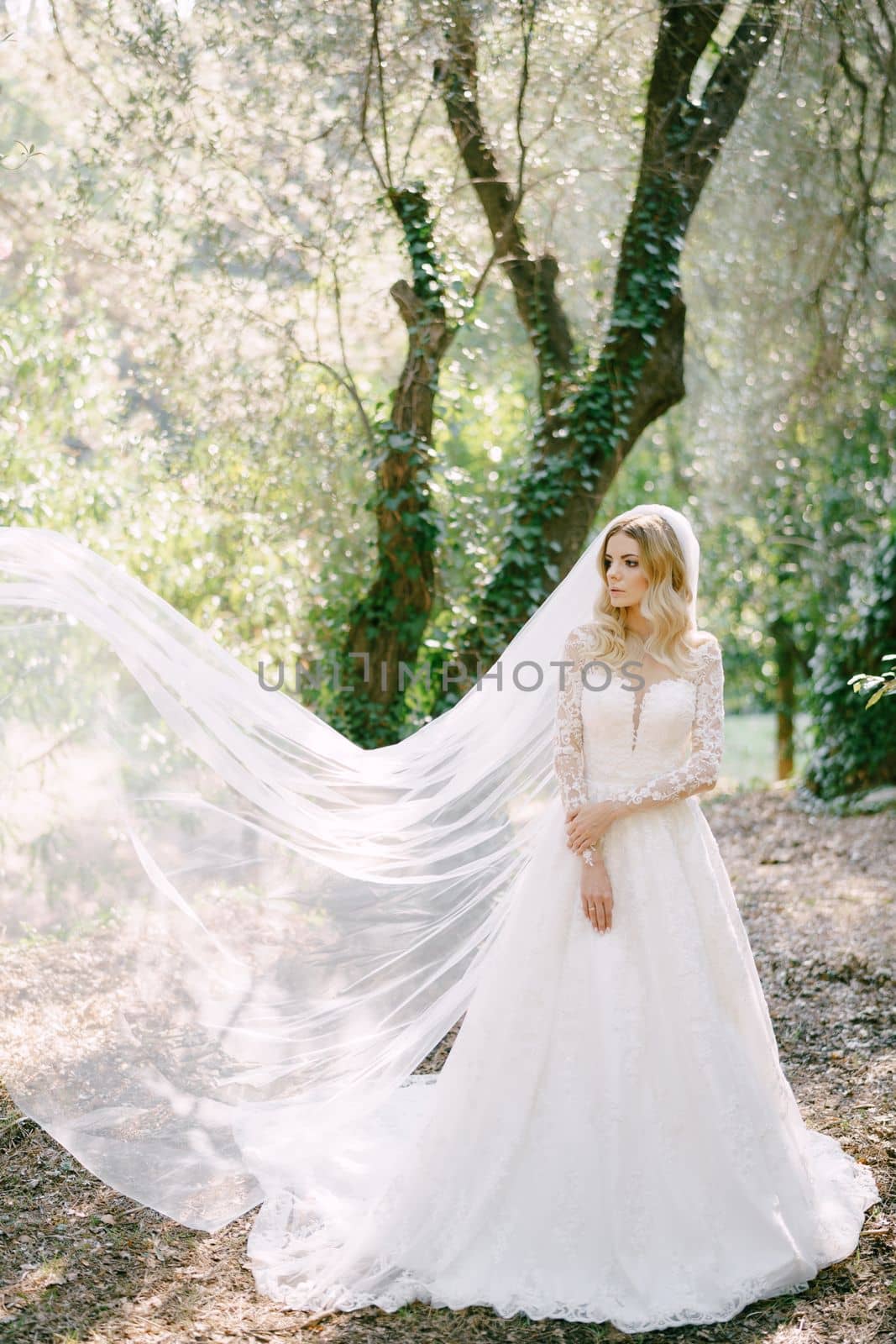 Bride in a white dress and a fluttering veil stands in the park among the trees. High quality photo