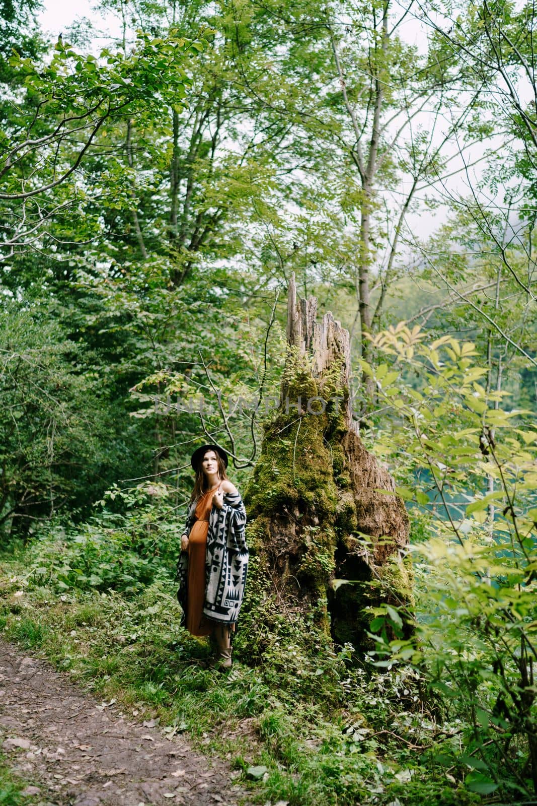 Pregnant woman stands near mossy tree near path in park. High quality photo