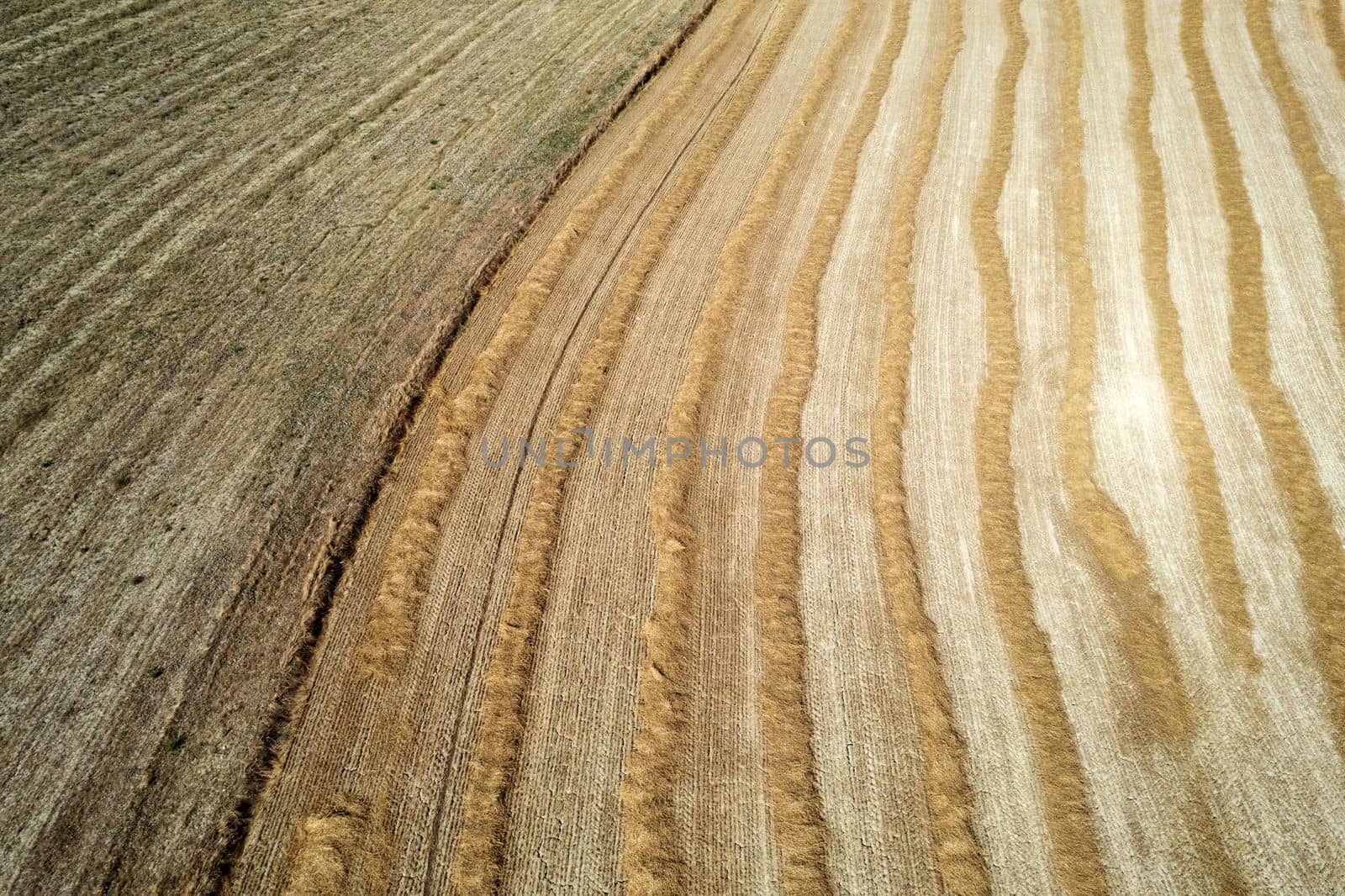 Aerial photographic documentation of the straw drying phase before harvesting 