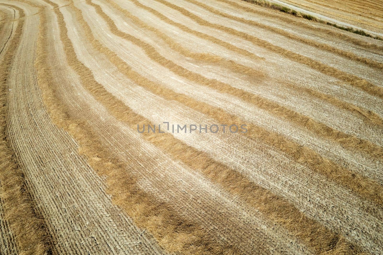 Aerial photographic documentation of the straw drying phase before harvesting 