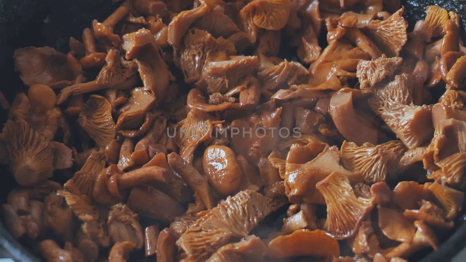 Chanterelles mushrooms are fried in a pan