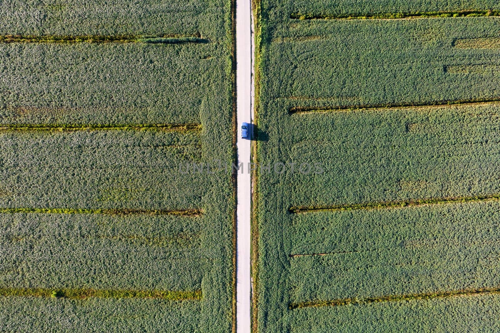 Aerial view of a field dedicated to soybean cultivation by fotografiche.eu