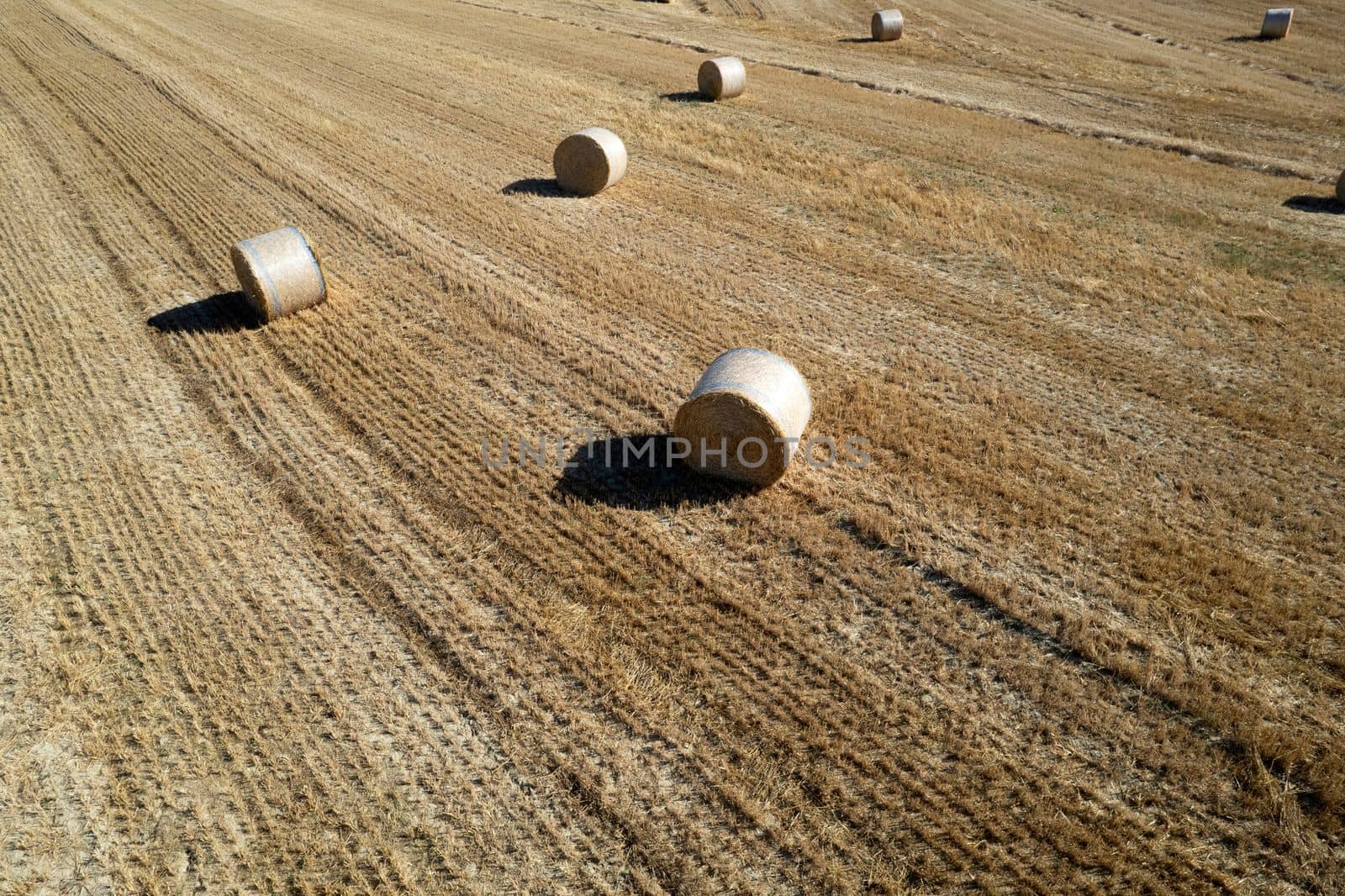 Aerial photographic documentation of a field with round bales in the summer season