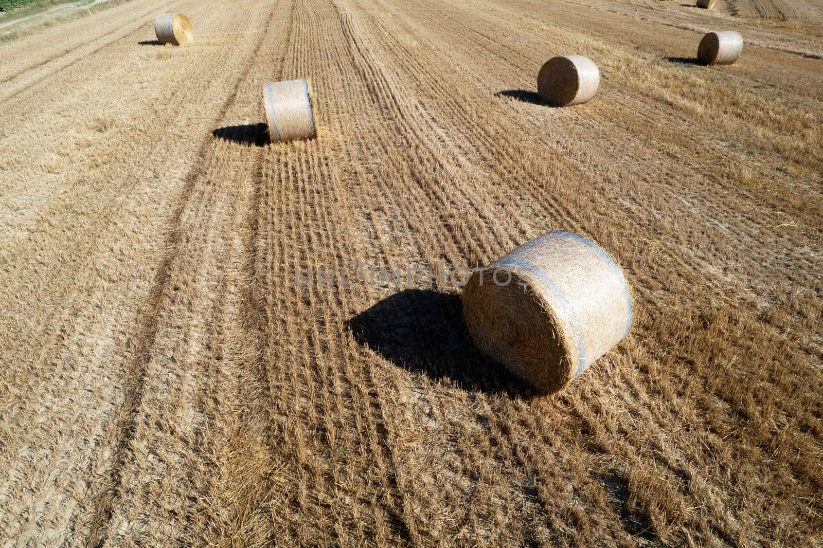 Aerial view of a round bale field in midsummer  by fotografiche.eu