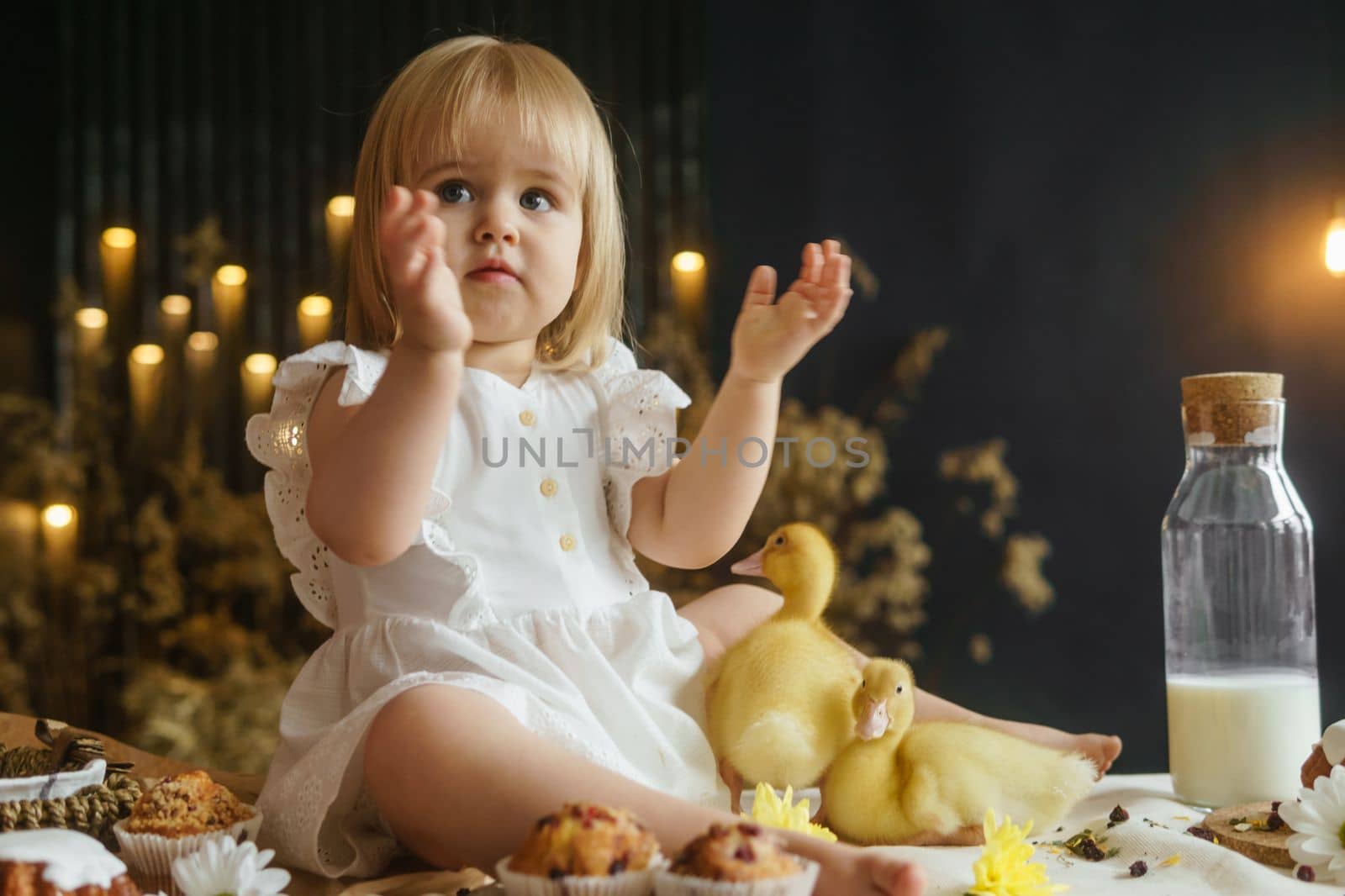 A little girl is sitting on the Easter table and playing with cute fluffy ducklings. The concept of celebrating happy Easter