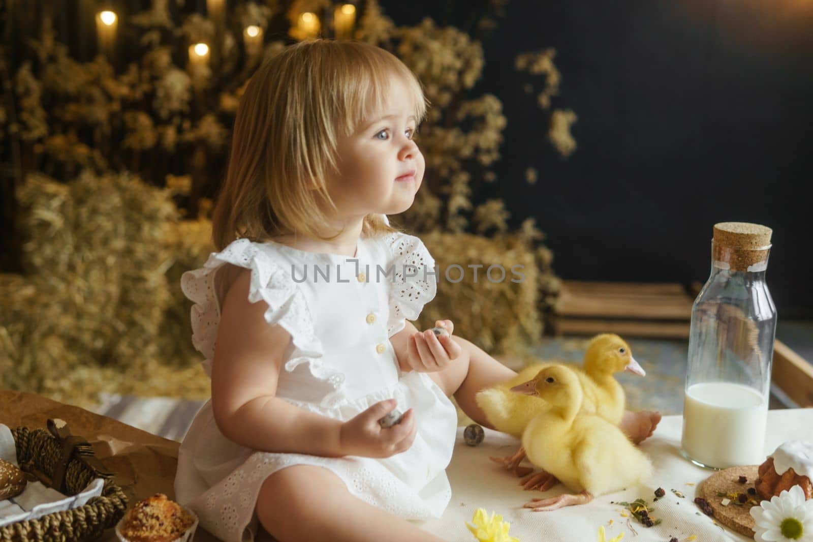 A little girl is sitting on the Easter table and playing with cute fluffy ducklings. The concept of celebrating happy Easter