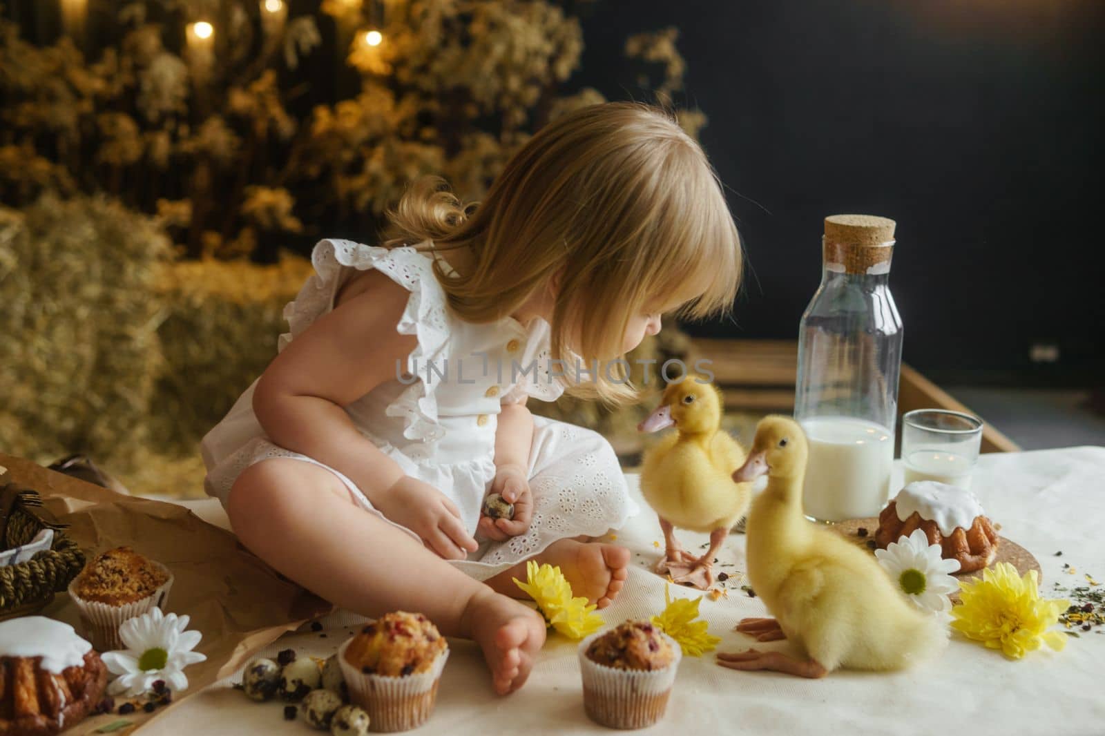 A little girl is sitting on the Easter table and playing with cute fluffy ducklings. The concept of celebrating happy Easter