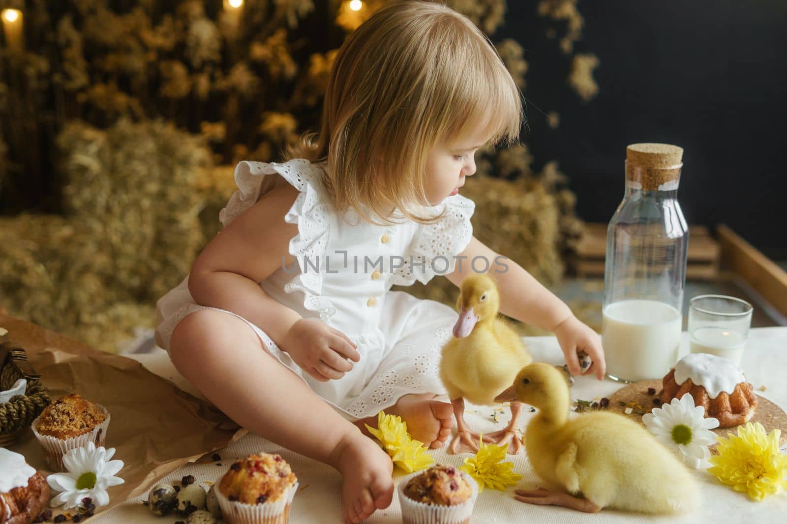 A little girl is sitting on the Easter table and playing with cute fluffy ducklings. The concept of celebrating happy Easter