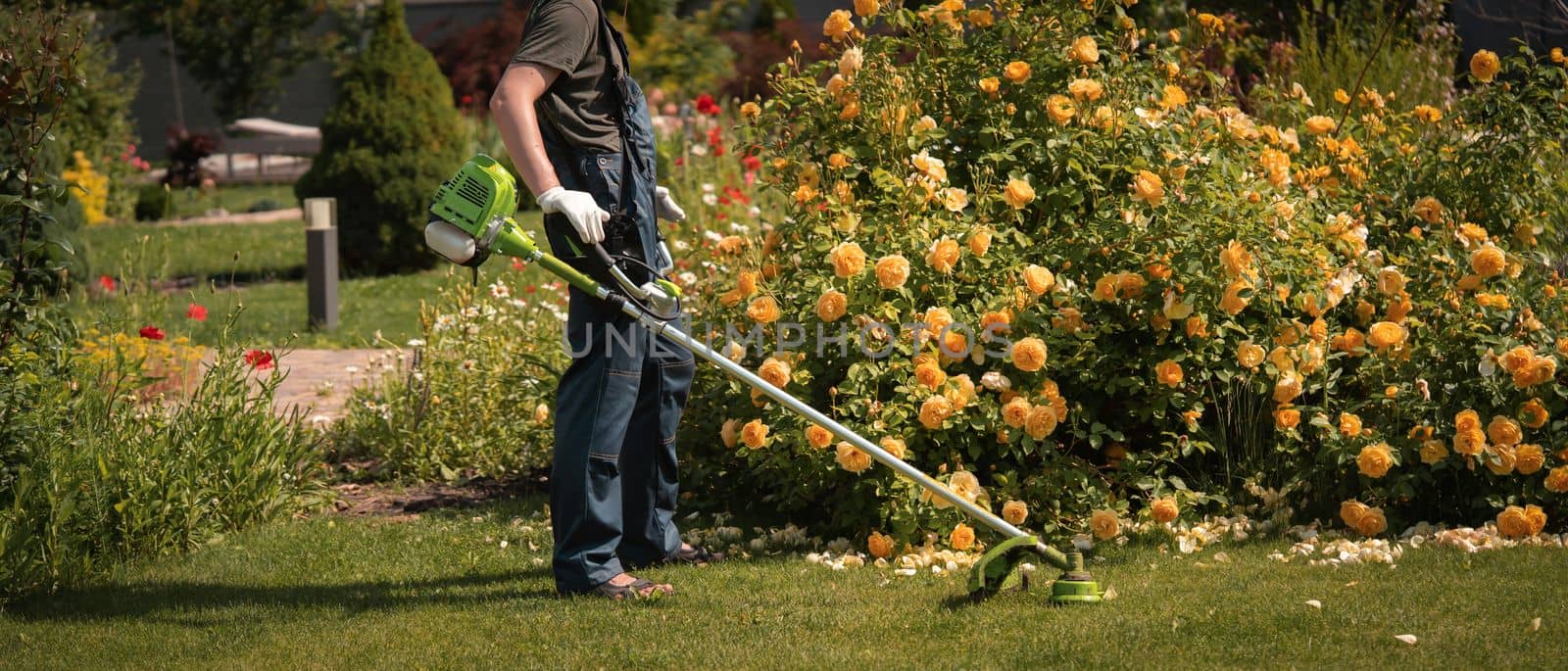 A young man is mowing a lawn with a lawn mower in his beautiful green floral summer garden. A man with a lawnmower cares for the grass in the backyard.A professional gardener is cutting the grass in gloves.